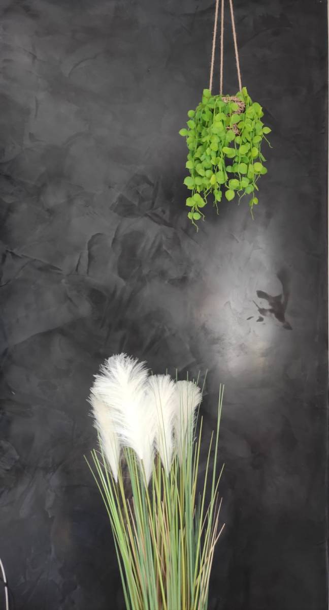 Professionnel pour la décoration des murs en stucco à Strasbourg 