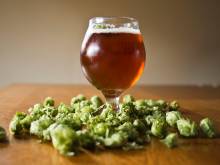 MATTEN, brasserie artisanale à Matzenheim